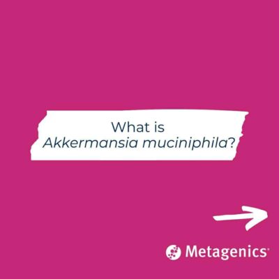 Črevesna bakterija Akkermansia muciniphila