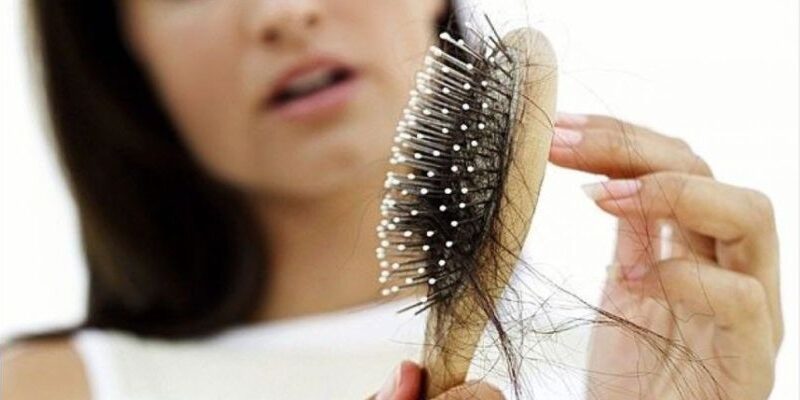 izpadanje_las_vzroki izpadanje las vzroki